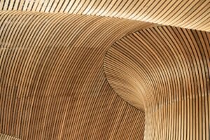 Wooden panels in the ceiling of the Senedd building.